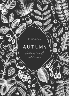 Hand sketched autumn leaves design on chalkboard. Elegant botanical template with autumn leaves, berries, seeds sketches. Perfect for invitation, cards, flyers, menu, label, packaging.